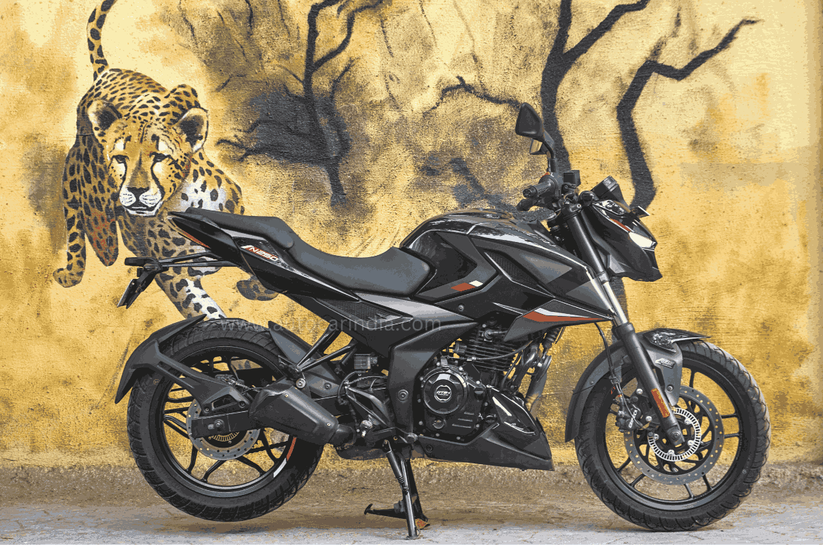 Bajaj Pulsar N Long Term Review Km Report Bull Leds